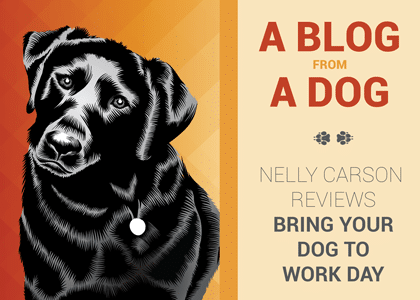 Nelly Carson Reviews Bring Your Dog to Work Day