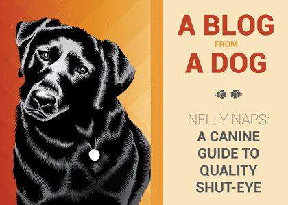 Nelly Naps: A Canine Guide to Quality Shut-Eye