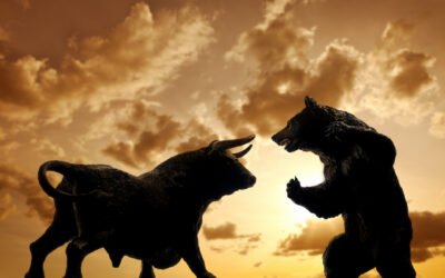 Bull vs. Bear Market: How to Invest Through Every Cycle