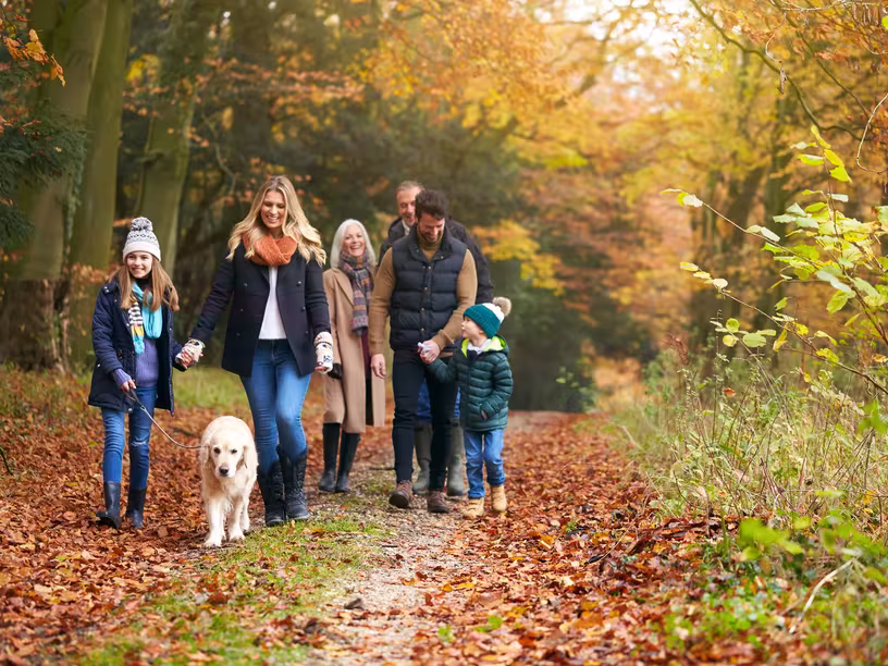 A multi-generational family goes for a walk out in nature. Year-end planning.